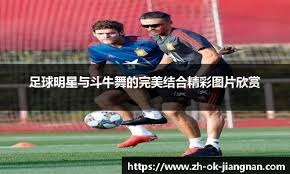 国际米兰vs利物浦全场数据：射门数6-8，控球率五五开