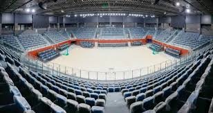 科雷亚破门 里尔小胜昂热